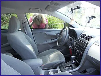 Fox Point RI Locksmith Store Fox Point, RI 401-309-3929